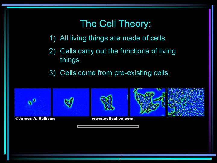 The Cell Theory: 1) All living things are made of cells. 2) Cells carry