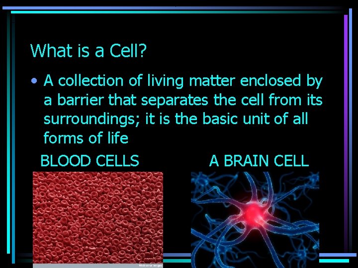 What is a Cell? • A collection of living matter enclosed by a barrier