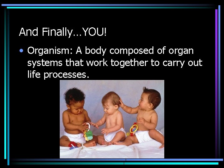 And Finally…YOU! • Organism: A body composed of organ systems that work together to