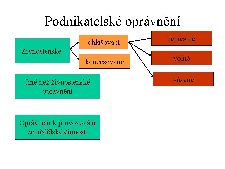 Podnikatelské oprávnění ohlašovací řemeslné koncesované volné Živnostenské Jiné než živnostenské oprávnění Oprávnění k provozování