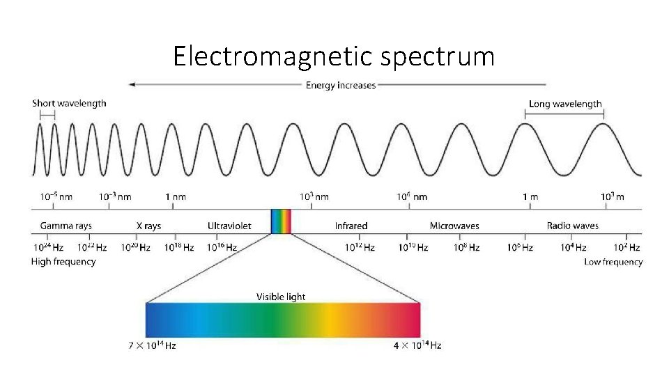 Electromagnetic spectrum 