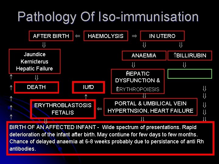 Pathology Of Iso-immunisation AFTER BIRTH HAEMOLYSIS Jaundice Kernicterus Hepatic Failure DEATH ANAEMIA BILLIRUBIN EPATIC