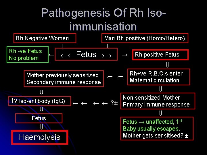 Pathogenesis Of Rh Isoimmunisation Rh Negative Women Rh -ve Fetus No problem Man Rh