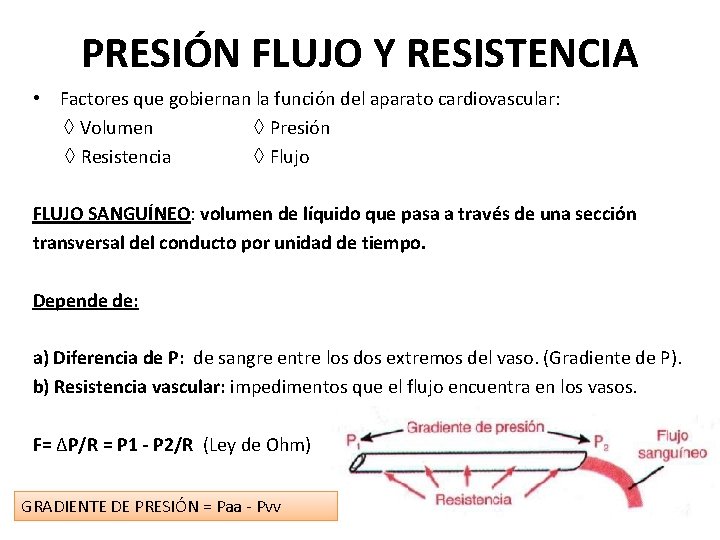 PRESIÓN FLUJO Y RESISTENCIA • Factores que gobiernan la función del aparato cardiovascular: ◊