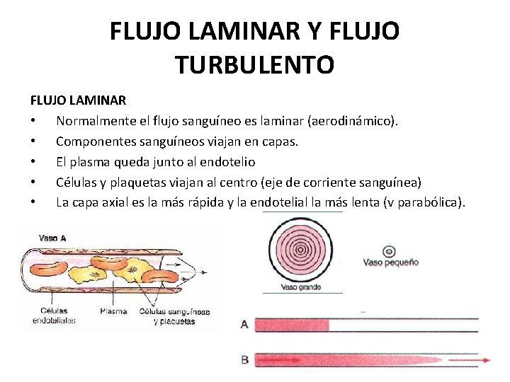 FLUJO LAMINAR Y FLUJO TURBULENTO FLUJO LAMINAR • Normalmente el flujo sanguíneo es laminar