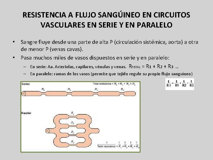 RESISTENCIA A FLUJO SANGÚINEO EN CIRCUITOS VASCULARES EN SERIE Y EN PARALELO • Sangre