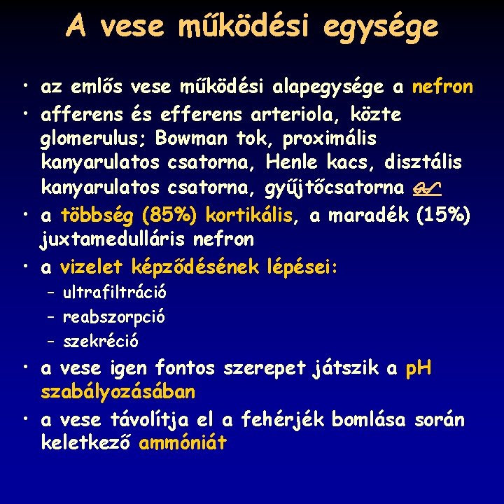 A vese működési egysége • az emlős vese működési alapegysége a nefron • afferens