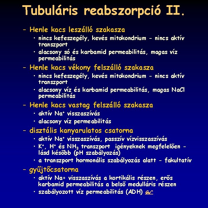 Tubuláris reabszorpció II. – Henle kacs leszálló szakasza • nincs kefeszegély, kevés mitokondrium -