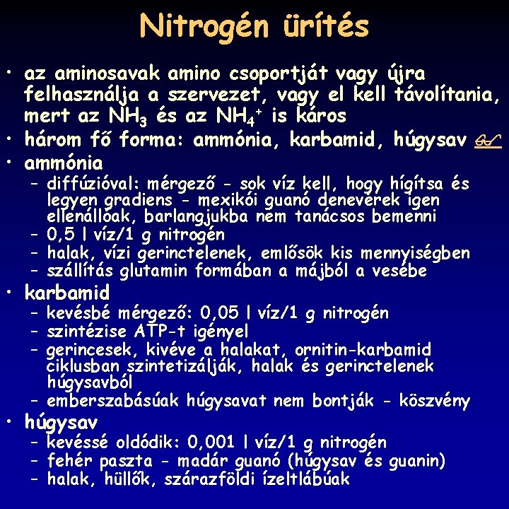 Nitrogén ürítés • az aminosavak amino csoportját vagy újra felhasználja a szervezet, vagy el