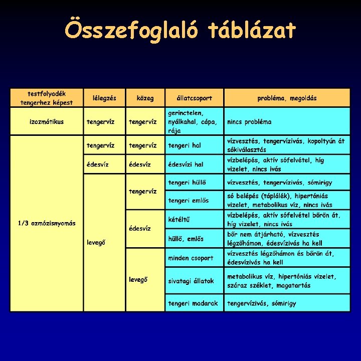 Összefoglaló táblázat 