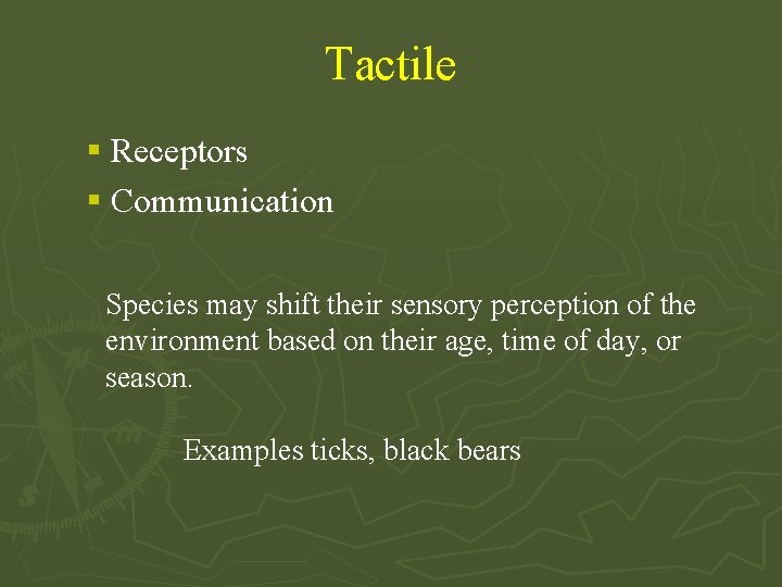 Tactile § Receptors § Communication Species may shift their sensory perception of the environment