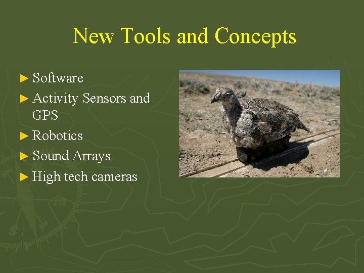 New Tools and Concepts ► Software ► Activity Sensors and GPS ► Robotics ►