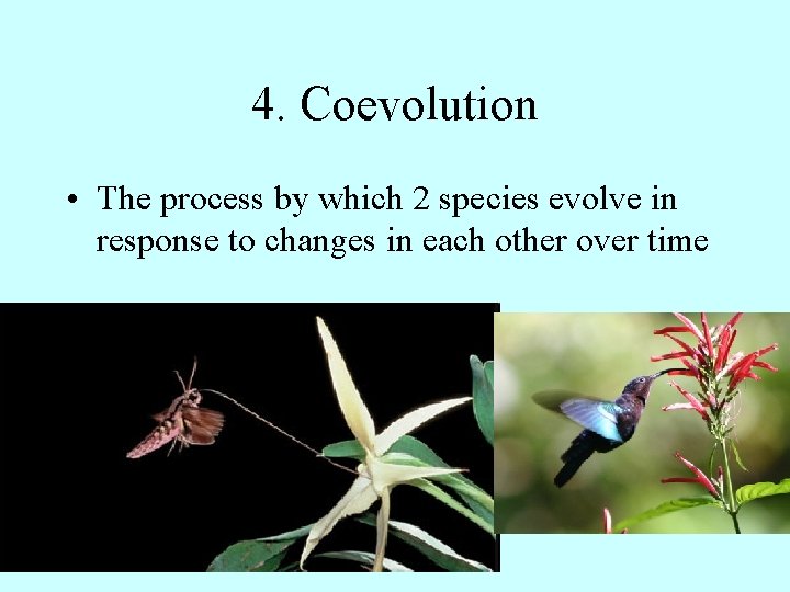 4. Coevolution • The process by which 2 species evolve in response to changes