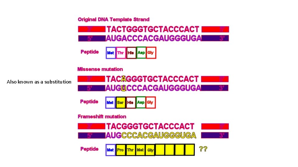 Also known as a substitution 