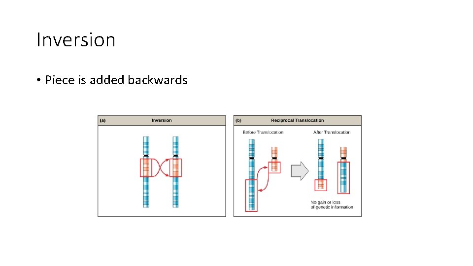 Inversion • Piece is added backwards 
