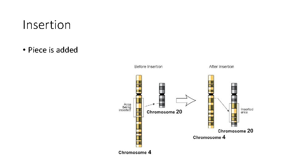 Insertion • Piece is added 