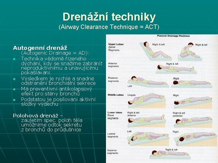 Drenážní techniky (Airway Clearance Technique = ACT) Autogenní drenáž n n (Autogenic Drainage =
