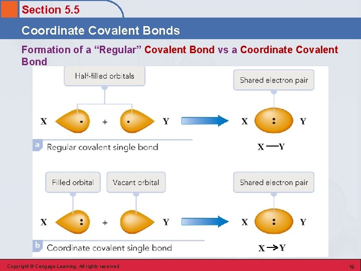Section 5. 5 Coordinate Covalent Bonds Formation of a “Regular” Covalent Bond vs a