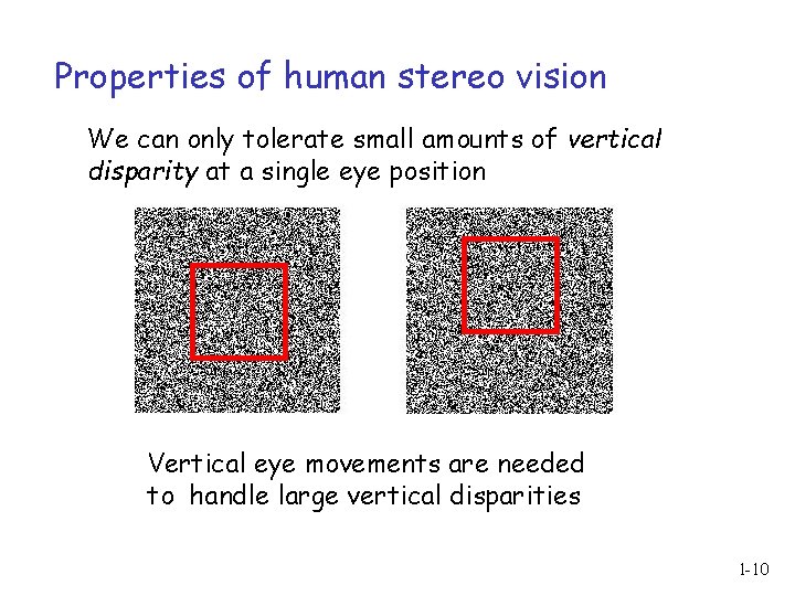 Properties of human stereo vision We can only tolerate small amounts of vertical disparity