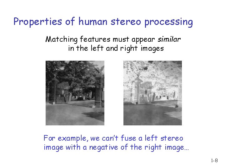 Properties of human stereo processing Matching features must appear similar in the left and