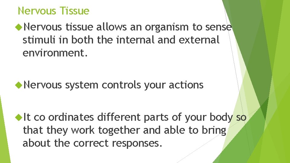 Nervous Tissue Nervous tissue allows an organism to sense stimuli in both the internal