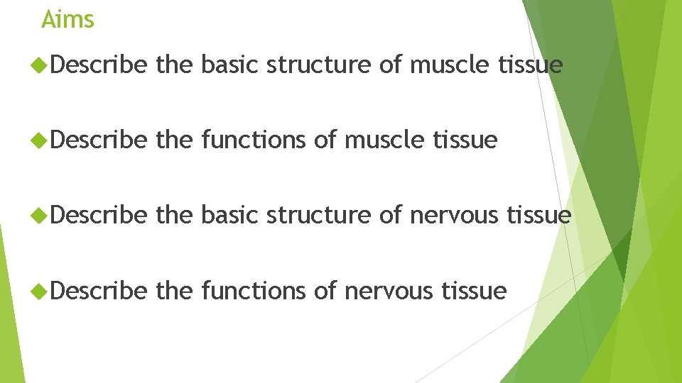 Aims Describe the basic structure of muscle tissue Describe the functions of muscle tissue