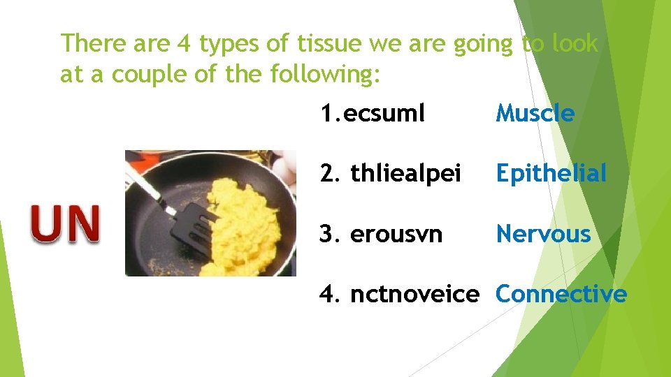 There are 4 types of tissue we are going to look at a couple