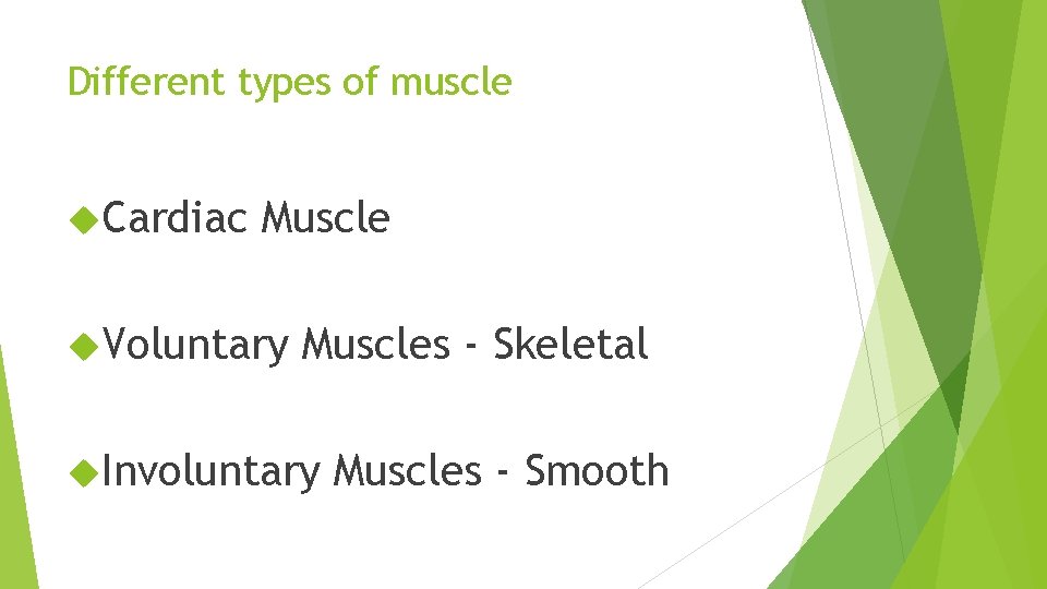 Different types of muscle Cardiac Muscle Voluntary Muscles - Skeletal Involuntary Muscles - Smooth