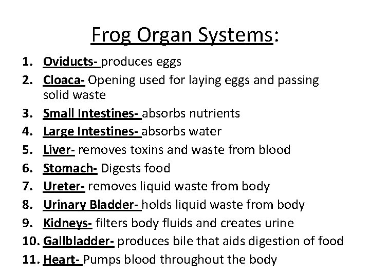 Frog Organ Systems: 1. Oviducts- produces eggs 2. Cloaca- Opening used for laying eggs