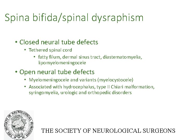 Spina bifida/spinal dysraphism • Closed neural tube defects • Tethered spinal cord • fatty