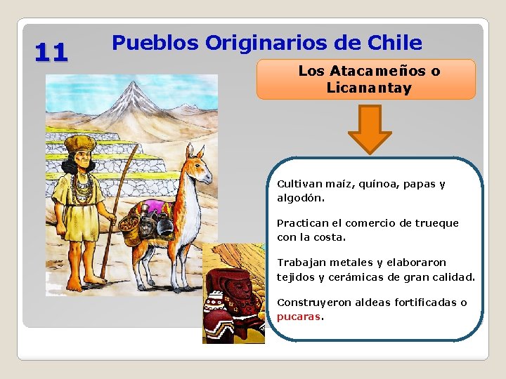 11 Pueblos Originarios de Chile Los Atacameños o Licanantay Cultivan maíz, quínoa, papas y