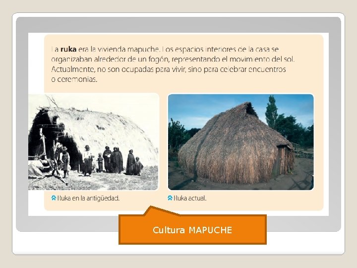 Cultura MAPUCHE 