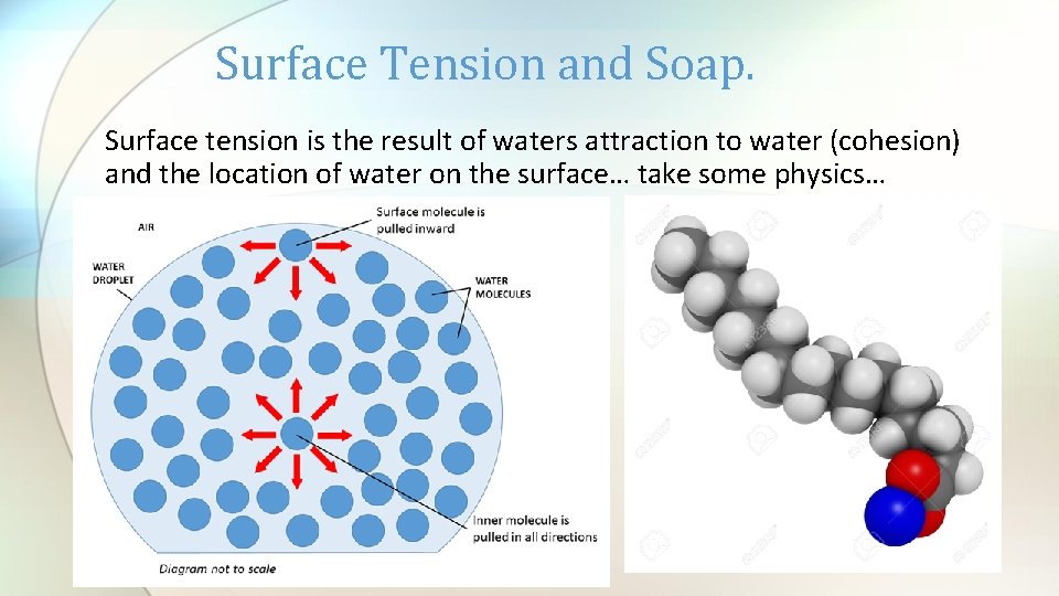 Surface Tension and Soap. Surface tension is the result of waters attraction to water