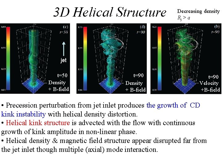 3 D Helical Structure Decreasing density Rj > a jet t=50 Density + B-field