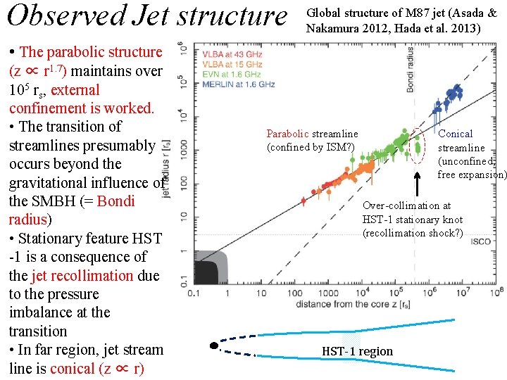 Observed Jet structure Global structure of M 87 jet (Asada & Nakamura 2012, Hada