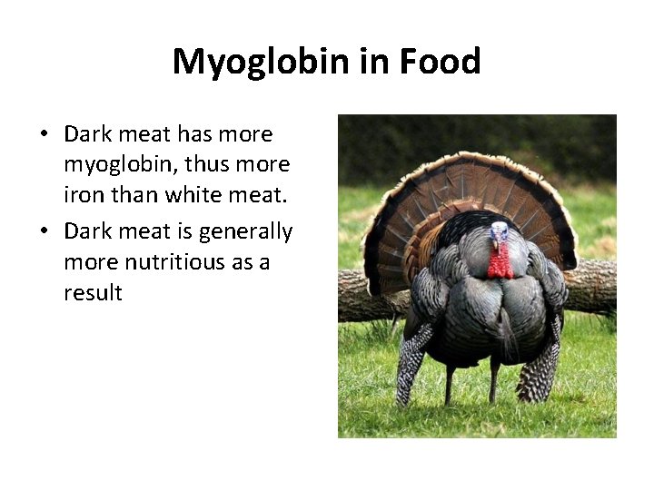 Myoglobin in Food • Dark meat has more myoglobin, thus more iron than white Myoglobin in Food • Dark meat has more myoglobin, thus more iron than white