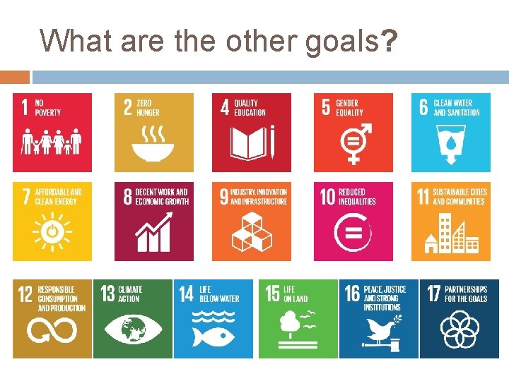 What are the other goals? 