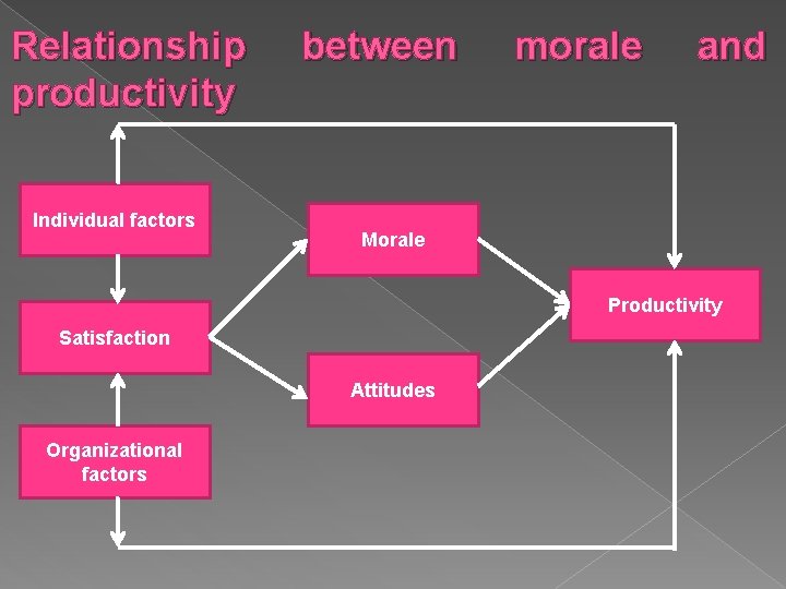 Relationship productivity Individual factors between morale and Morale Productivity Satisfaction Attitudes Organizational factors 