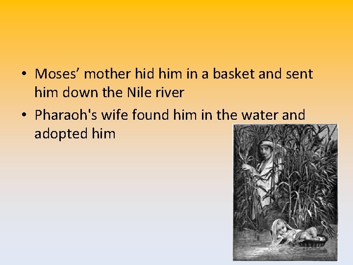  • Moses’ mother hid him in a basket and sent him down the
