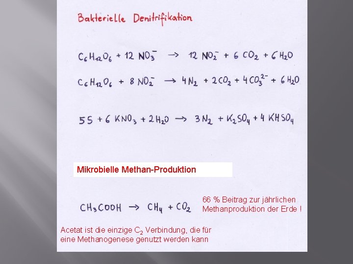 Mikrobielle Methan-Produktion 66 % Beitrag zur jährlichen Methanproduktion der Erde ! Acetat ist die