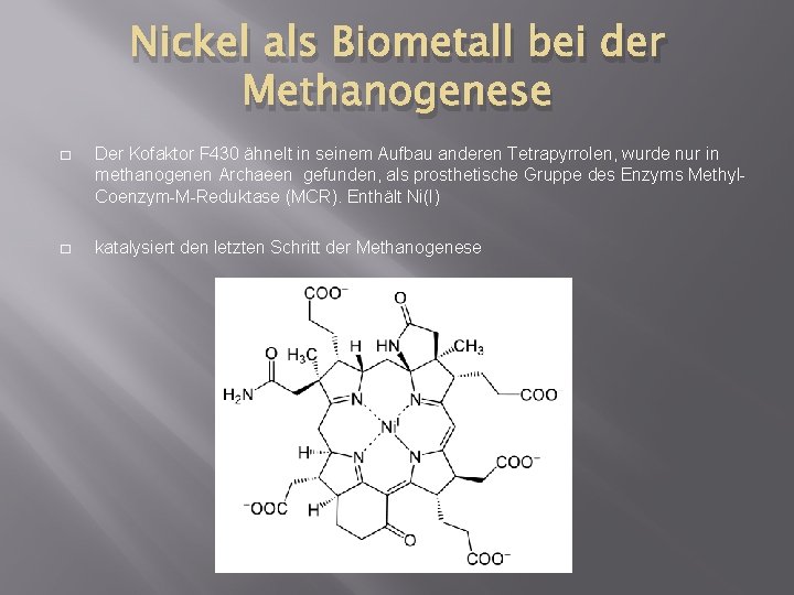 Nickel als Biometall bei der Methanogenese � Der Kofaktor F 430 ähnelt in seinem