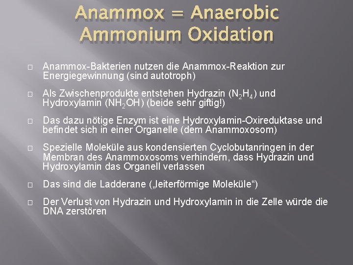 Anammox = Anaerobic Ammonium Oxidation � Anammox-Bakterien nutzen die Anammox-Reaktion zur Energiegewinnung (sind autotroph)