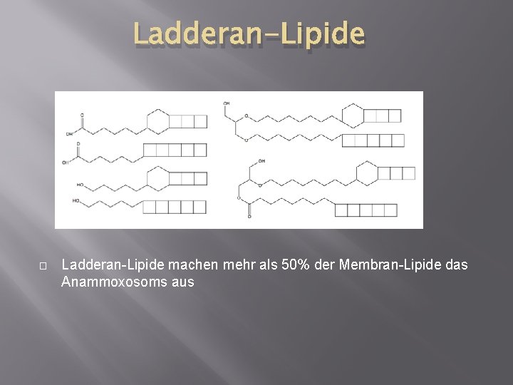 Ladderan-Lipide � Ladderan-Lipide machen mehr als 50% der Membran-Lipide das Anammoxosoms aus 