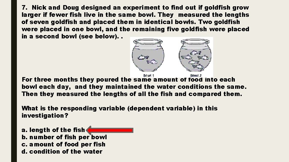 7. Nick and Doug designed an experiment to find out if goldfish grow larger