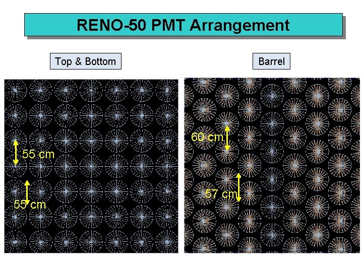 RENO-50 PMT Arrangement Top & Bottom Barrel 60 cm 55 cm 57 cm 