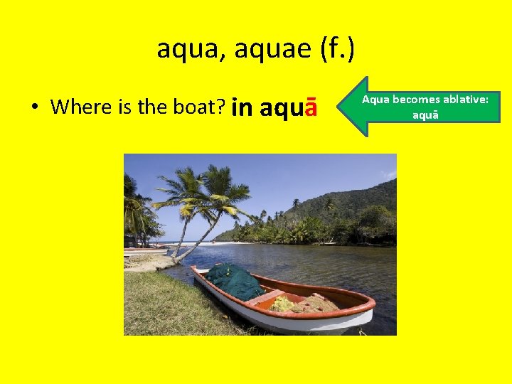 aqua, aquae (f. ) • Where is the boat? in aquā Aqua becomes ablative: