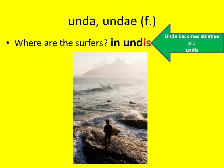 unda, undae (f. ) • Where are the surfers? in undis Unda becomes ablative