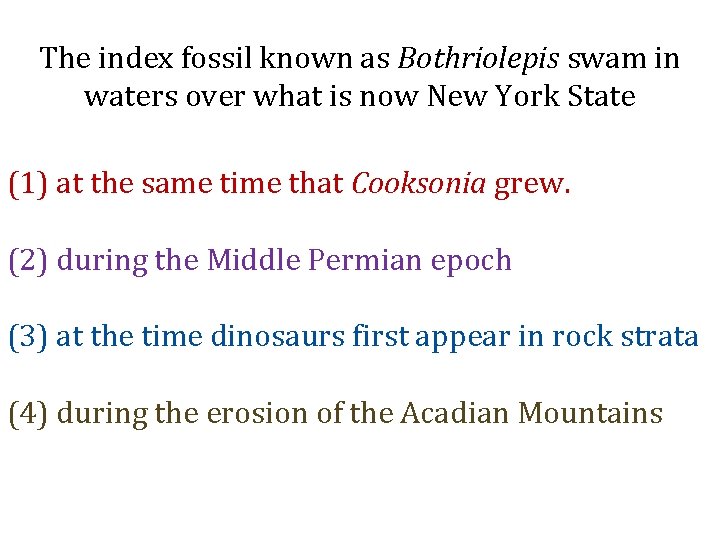 The index fossil known as Bothriolepis swam in waters over what is now New