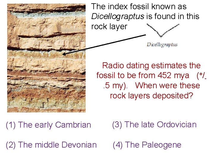 The index fossil known as Dicellograptus is found in this rock layer Radio dating