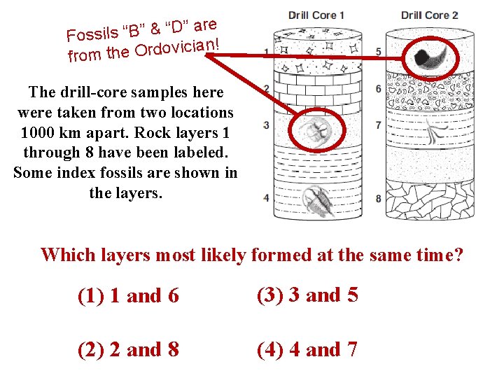 are ” D “ & ” B “ s il Foss n! ia ic